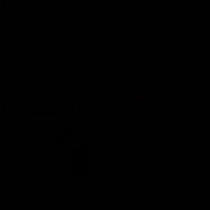 Meet your Posher, Sheiquel